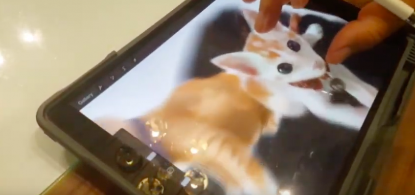 วาดภาพแมวด้วย Ipad