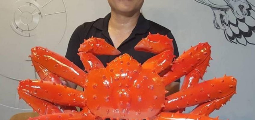 ปู สำหรับวางดิสเพลย์