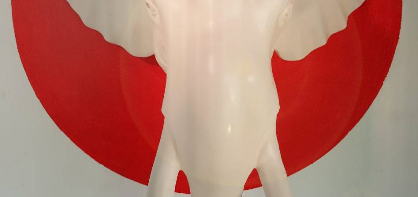 หัวช้าง